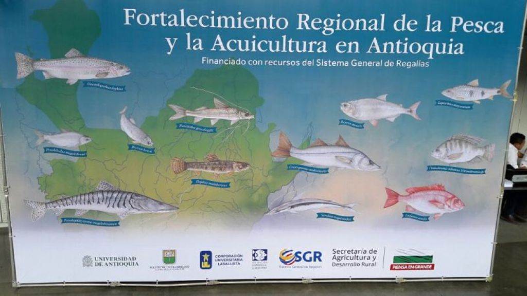 Cadena Acuícola y Pesquera en Antioquia gran beneficiada con recursos de regalías