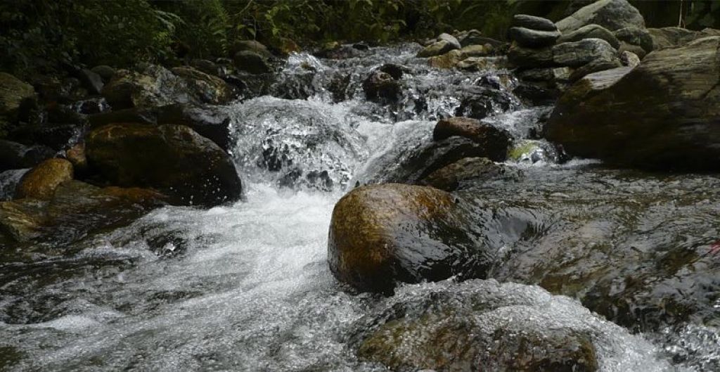 ¡Antioquia es reconocida en Colombia sus áreas ecosistémicas protegidas!