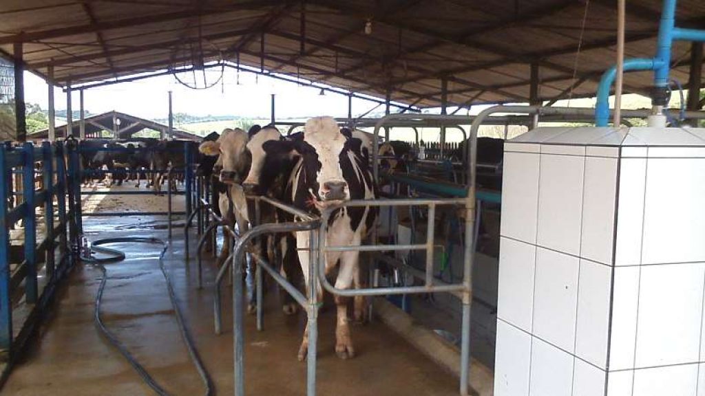 Antioquia se fortalece en cadena de leche