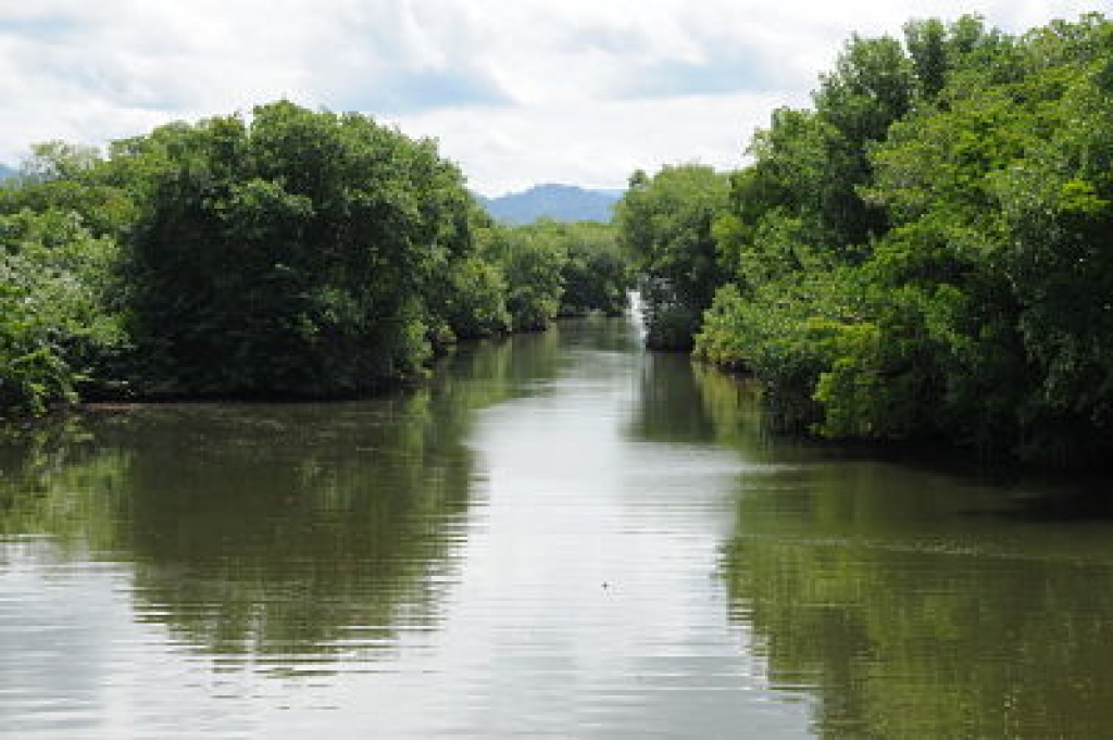 Antioquia protege sus manglares mediante Ordenanza