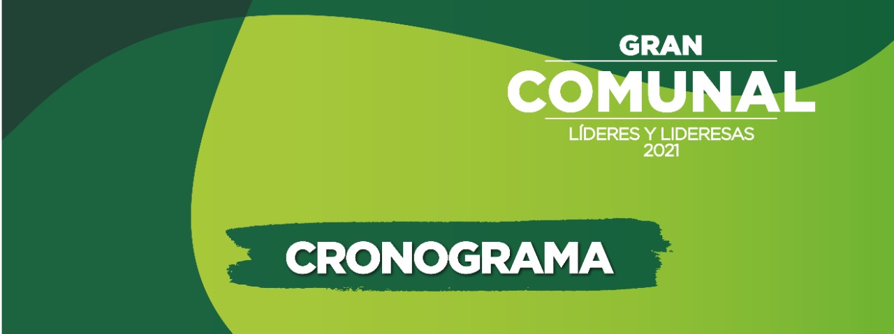 cronograma