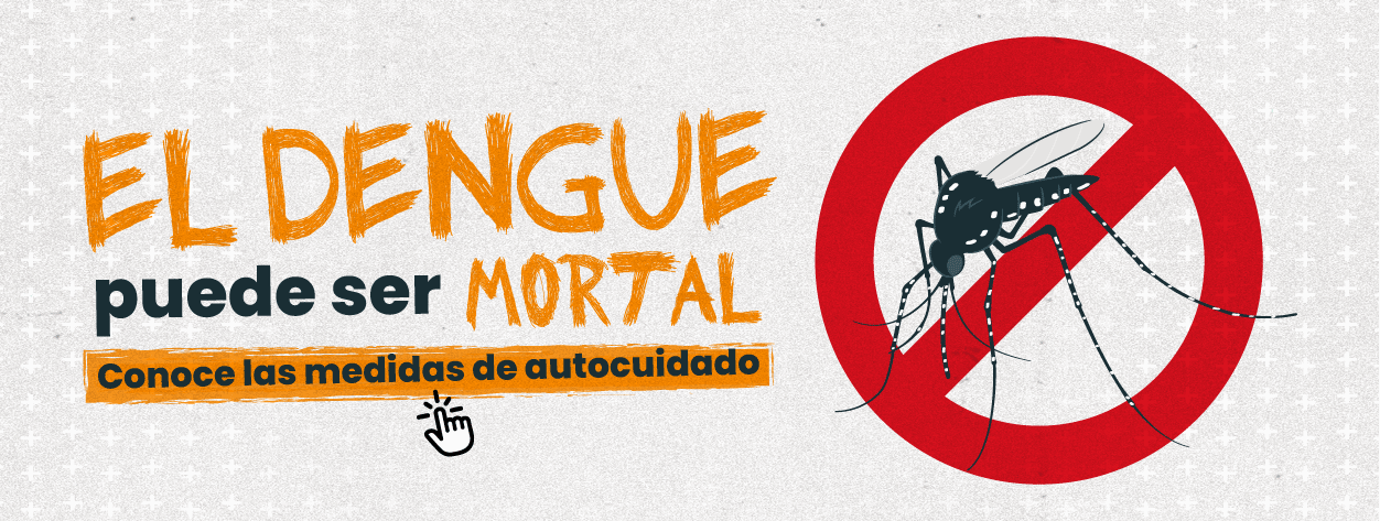 Prevención dengue 2025 home