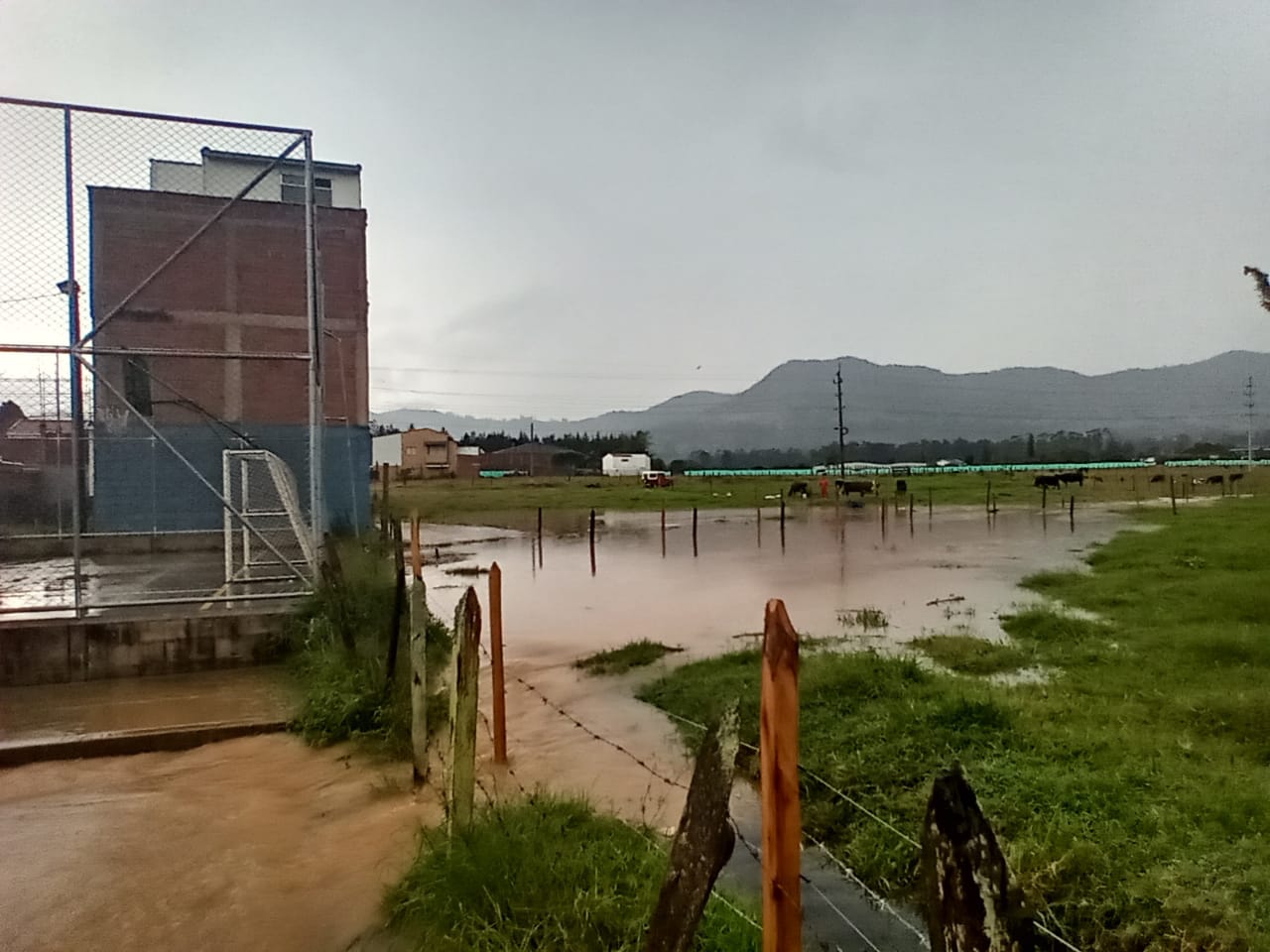 la ceja