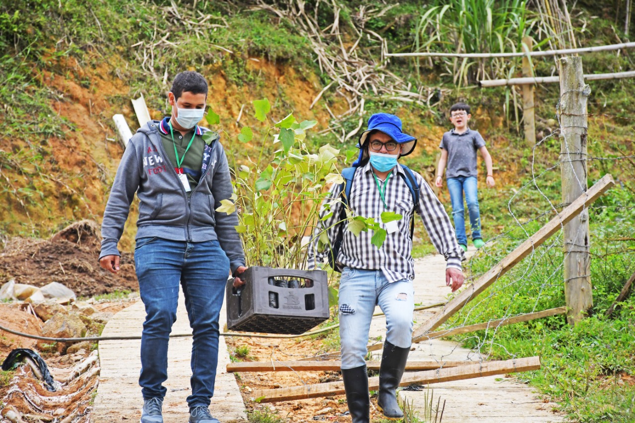 Antioquia Siembra