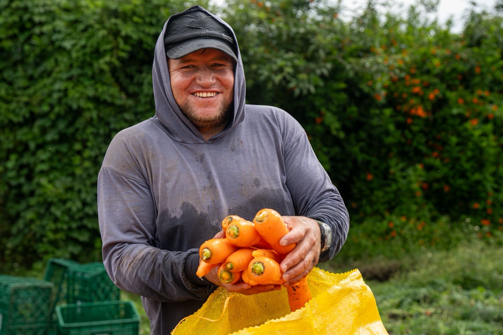 En cinco meses, la Gobernación de Antioquia y Bancos de Alimentos han rescatado más de 900 toneladas de alimentos para beneficiar a niñas, niños, mujeres, personas mayores y población con discapacidad