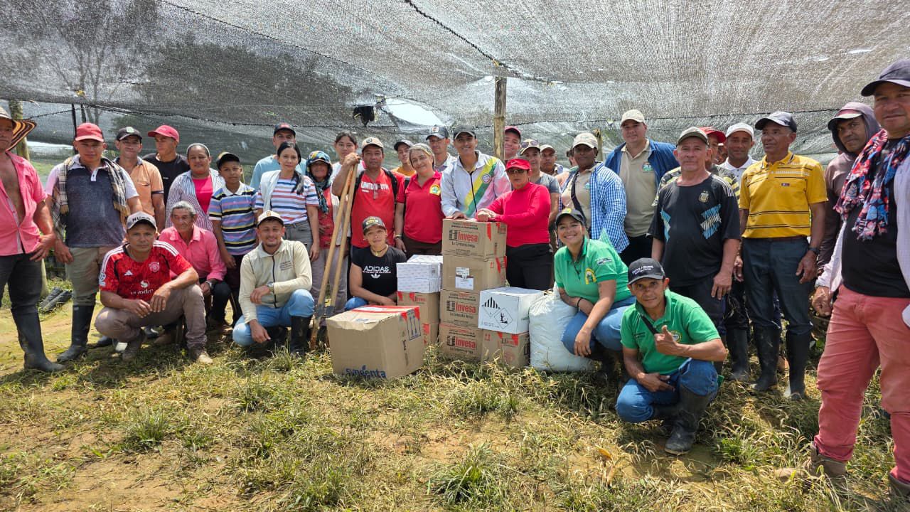 La Gobernación de Antioquia entregó insumos para el fortalecimiento de proyectos de sustitución de cultivos en el departamento 
