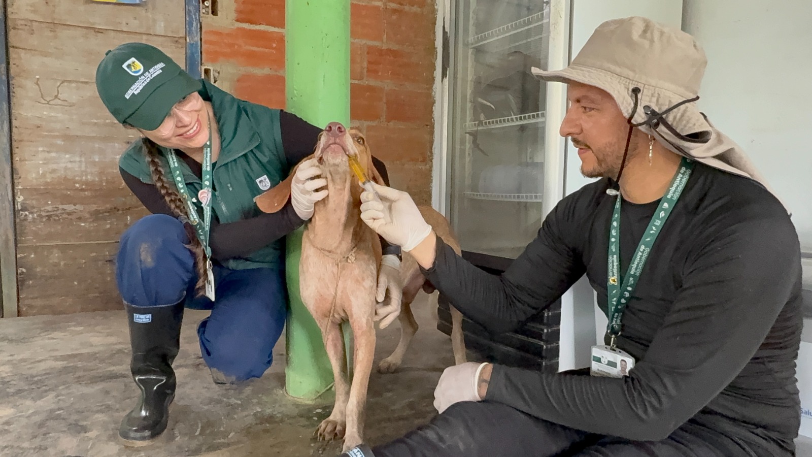 Gobernación de Antioquia despliega equipo técnico en el Urabá para atender animales afectados por las lluvias