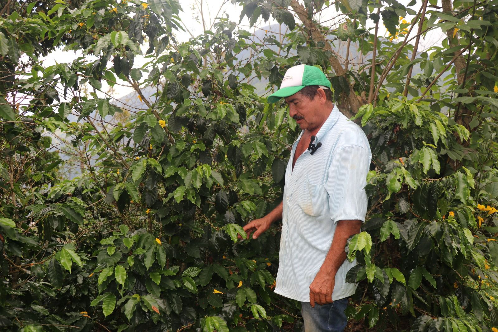 Antioquia eleva a 25% el beneficio en créditos para mujeres y jóvenes rurales pequeños productores en la Turbina de Crédito Agropecuario 