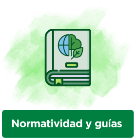 Normatividad