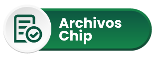 Archivos CHIP