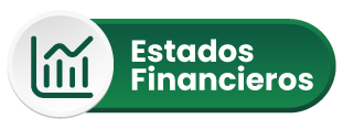 Estados Financieros