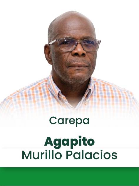 Carepa