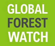 Logo Global Forest Watch