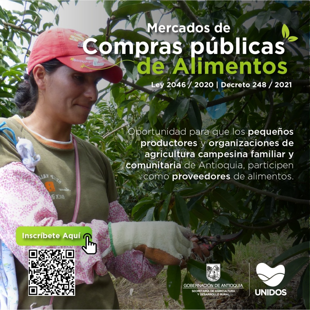 Antioquia cuenta con 786 entre pequeños productores individuales y organizaciones de la agricultura campesina, familiar y comunitaria, inscritos en los Mercados de Compras Públicas de Alimentos