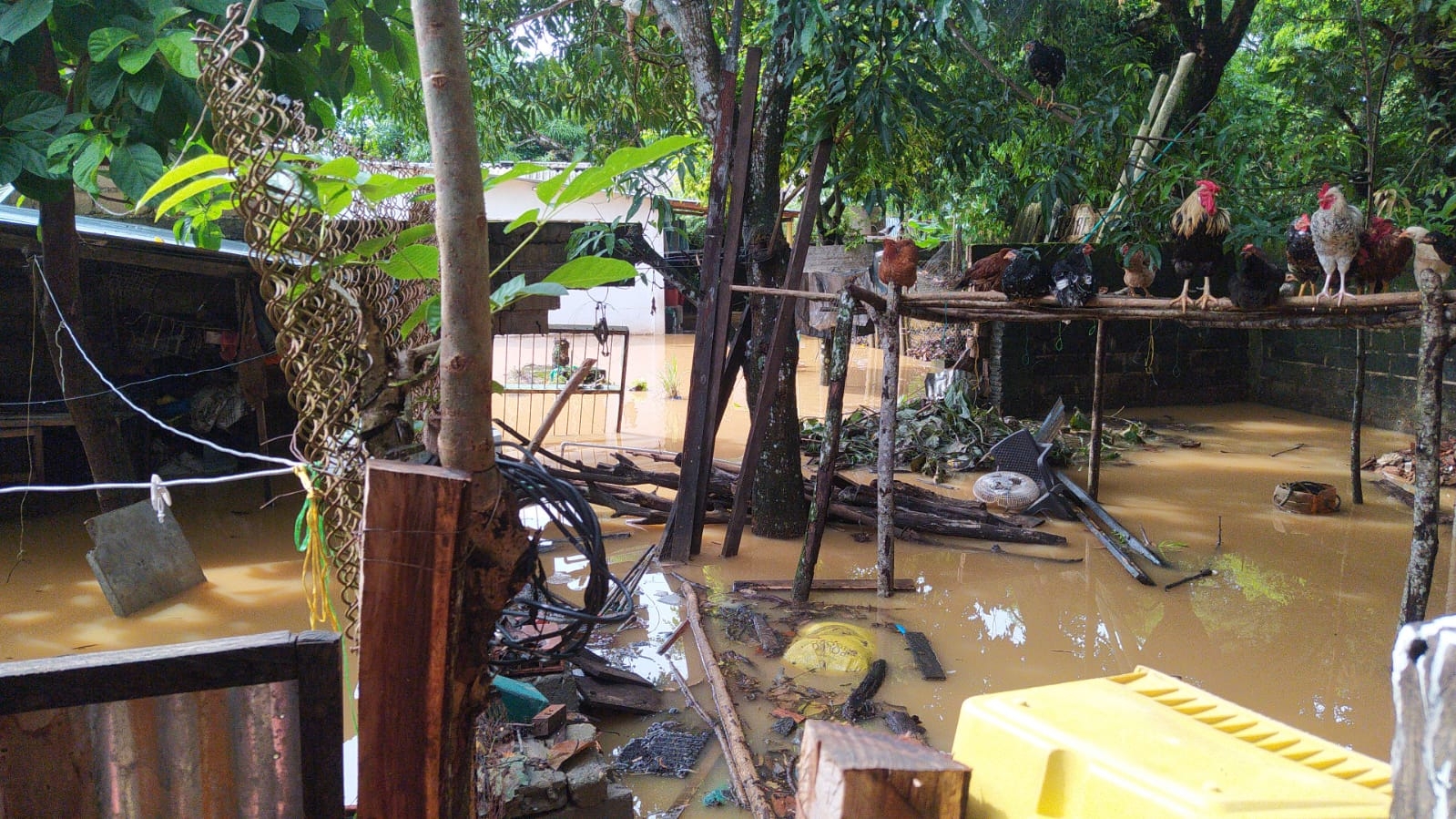 Asociado a las fuertes lluvias de este fin de semana, 3 municipios reportan inundaciones en Antioquia