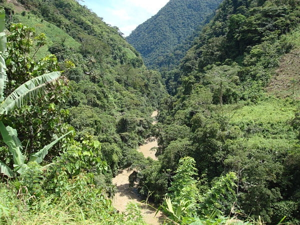 El cañón de La Llorona en Urabá, es declarado Zona de Importancia Ambiental